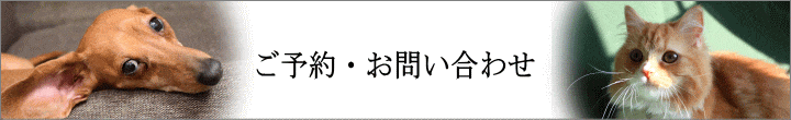 お問合せはこちら