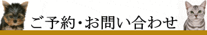 ご予約、お問合せ