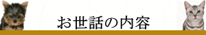 ペットシッターのお世話の内容